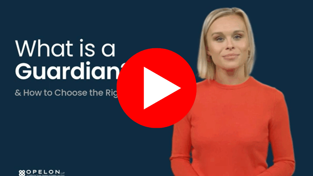 choose a guardian video cover