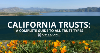 California Trust Guide Blog Cover Image showing California flowers