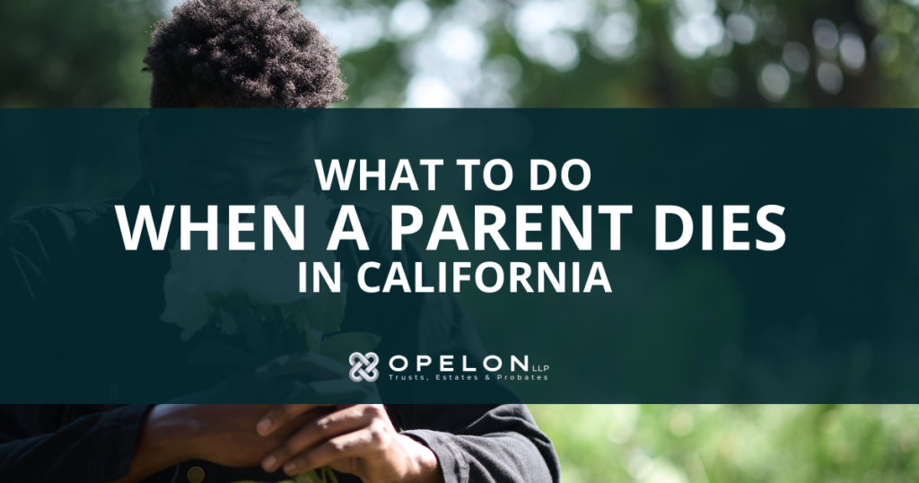What To Do When a Parent Dies in California? (2026 Guide) 1 Blog Hero Image with title What to Do When a Parent Dies in California