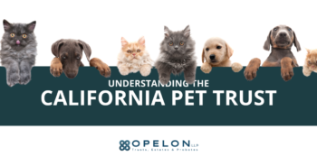 California Pet Trust Opelon LLP Hero Blog Post Image