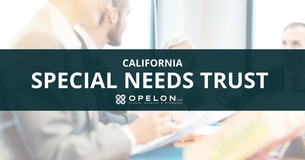 California Special Needs Trust: Complete Guide for Families (2026) 2 California Special Needs Trust Hero Blog Post Banner Opelon LLP
